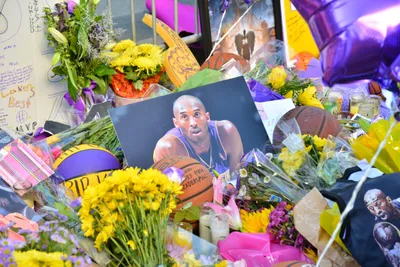 DSC_7151 (Large).JPG